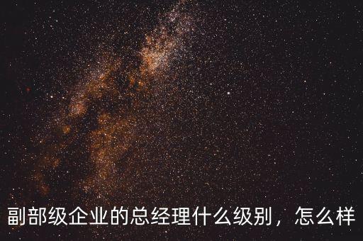 副部級企業(yè)的總經理什么級別，怎么樣