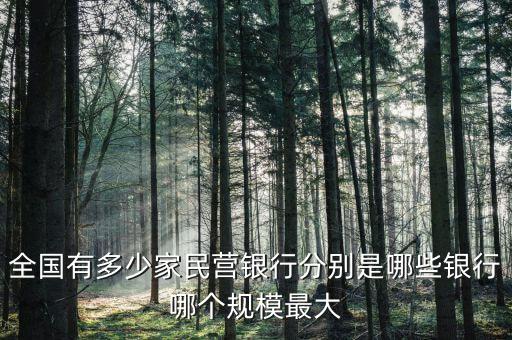 全國有多少家民營銀行分別是哪些銀行哪個規(guī)模最大