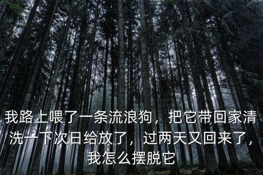 我路上喂了一條流浪狗，把它帶回家清洗一下次日給放了，過兩天又回來了，我怎么擺脫它