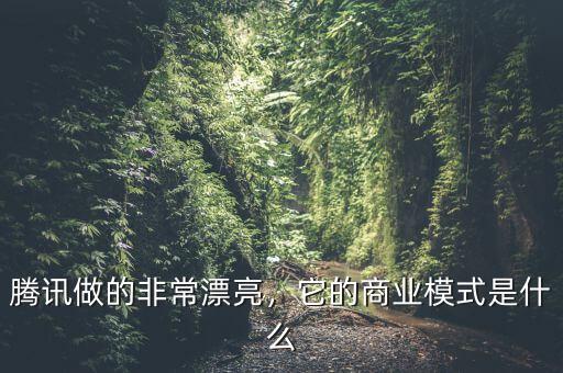 騰訊做的非常漂亮，它的商業(yè)模式是什么