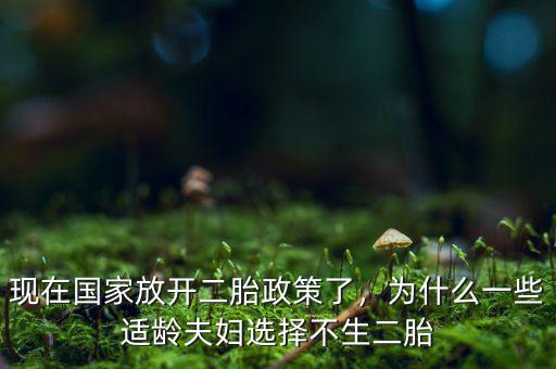現(xiàn)價(jià)段為什么不全面開(kāi)放二胎政策,如何看待開(kāi)放二胎后