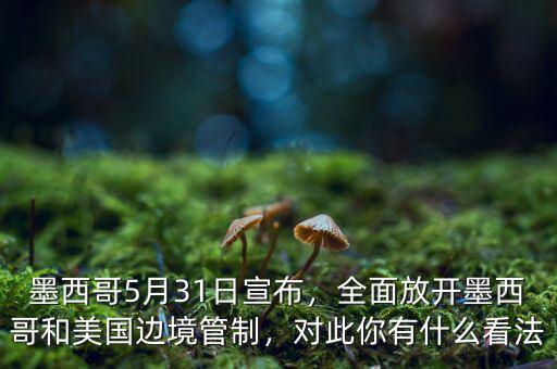 墨西哥5月31日宣布，全面放開墨西哥和美國(guó)邊境管制，對(duì)此你有什么看法