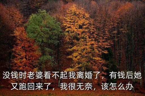 沒錢時老婆看不起我離婚了，有錢后她又跑回來了，我很無奈，該怎么辦