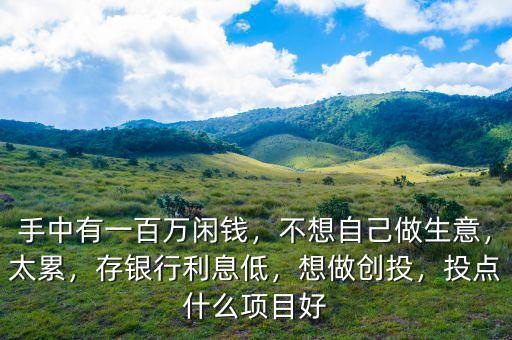 手中有一百萬閑錢，不想自己做生意，太累，存銀行利息低，想做創(chuàng)投，投點什么項目好