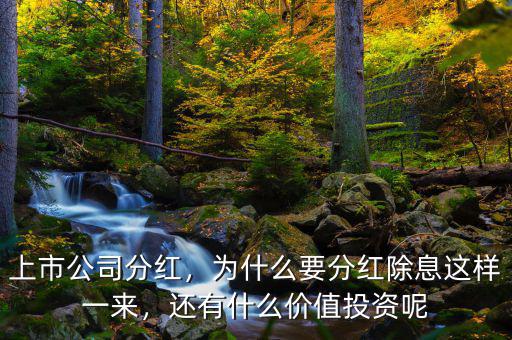 上市公司分紅，為什么要分紅除息這樣一來，還有什么價值投資呢
