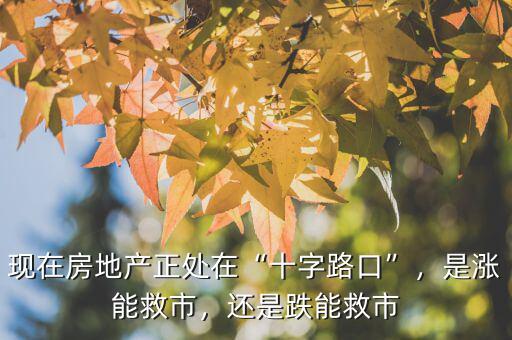 現(xiàn)在房地產(chǎn)正處在“十字路口”，是漲能救市，還是跌能救市
