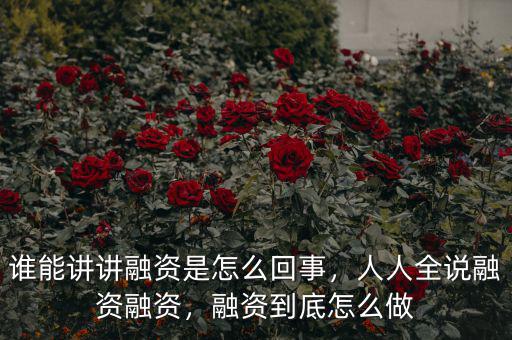 誰能講講融資是怎么回事，人人全說融資融資，融資到底怎么做