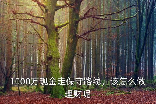 1000萬(wàn)現(xiàn)金走保守路線，該怎么做理財(cái)呢