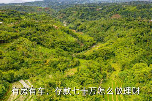 有房有車，存款七十萬(wàn)怎么做理財(cái)