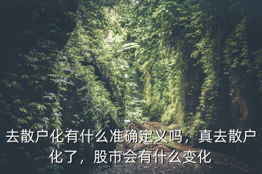 去散戶化有什么準(zhǔn)確定義嗎，真去散戶化了，股市會有什么變化