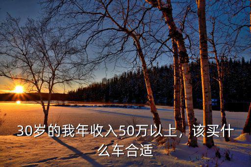 30歲的我年收入50萬以上，該買什么車合適
