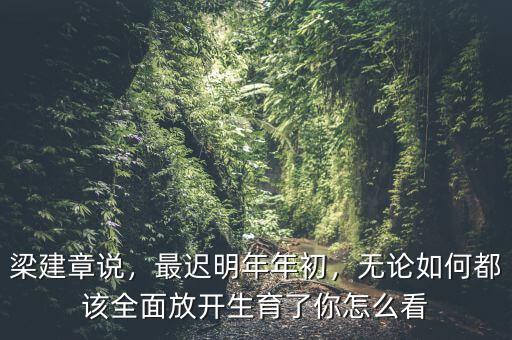 梁建章說，最遲明年年初，無論如何都該全面放開生育了你怎么看