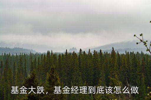 基金大跌，基金經(jīng)理到底該怎么做