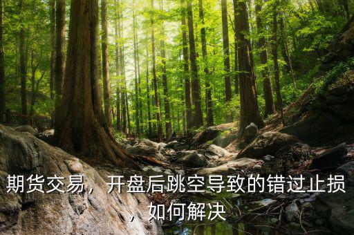 期貨交易，開盤后跳空導(dǎo)致的錯過止損，如何解決