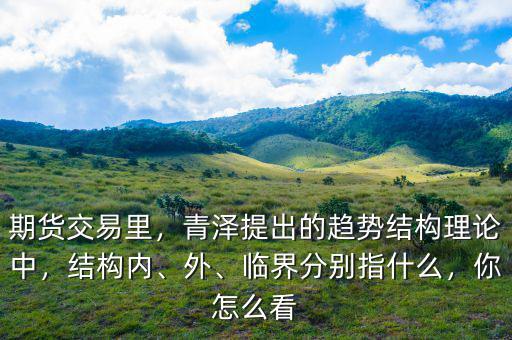 期貨交易里，青澤提出的趨勢(shì)結(jié)構(gòu)理論中，結(jié)構(gòu)內(nèi)、外、臨界分別指什么，你怎么看