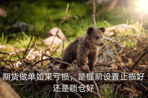 期貨做單如果虧損，是提前設(shè)置止損好還是鎖倉(cāng)好