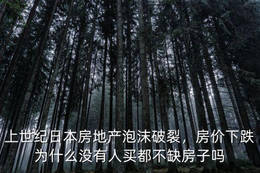 上世紀日本房地產泡沫破裂，房價下跌為什么沒有人買都不缺房子嗎