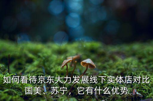 如何看待京東大力發(fā)展線下實體店對比國美、蘇寧，它有什么優(yōu)勢