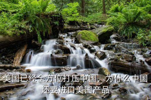 美國(guó)已經(jīng)全方位打壓中國(guó)，為什么中國(guó)還要進(jìn)口美國(guó)產(chǎn)品