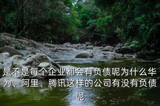 是不是每個(gè)企業(yè)都會(huì)有負(fù)債呢為什么華為、阿里、騰訊這樣的公司有沒有負(fù)債呢
