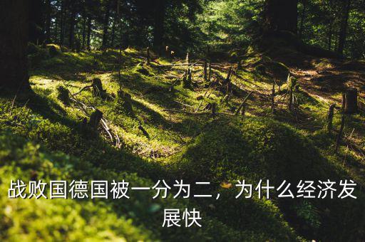 戰(zhàn)敗國德國被一分為二，為什么經(jīng)濟發(fā)展快