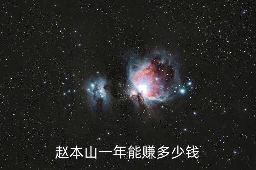 趙本山一年能賺多少錢(qián)