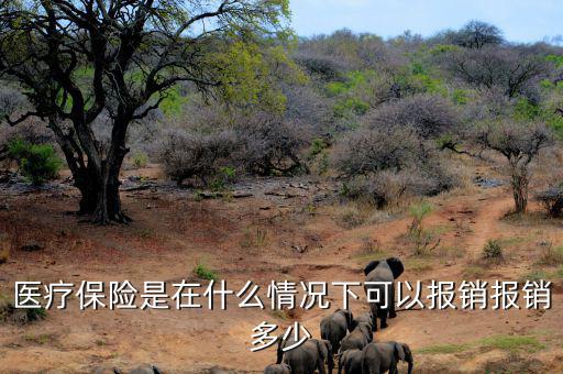 醫(yī)療保險(xiǎn)是在什么情況下可以報(bào)銷(xiāo)報(bào)銷(xiāo)多少