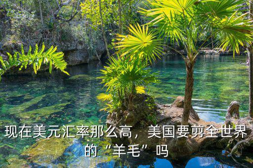現(xiàn)在美元匯率那么高，美國(guó)要剪全世界的“羊毛”嗎