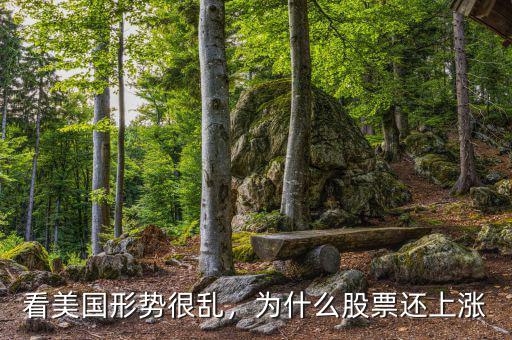 看美國(guó)形勢(shì)很亂，為什么股票還上漲