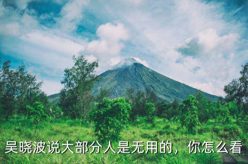 吳曉波說(shuō)大部分人是無(wú)用的，你怎么看