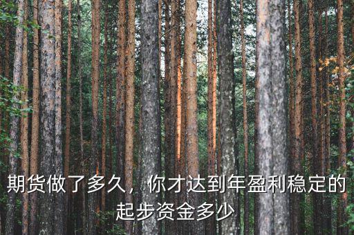 期貨做了多久，你才達(dá)到年盈利穩(wěn)定的起步資金多少