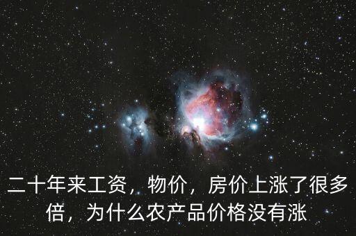二十年來(lái)工資，物價(jià)，房?jī)r(jià)上漲了很多倍，為什么農(nóng)產(chǎn)品價(jià)格沒(méi)有漲