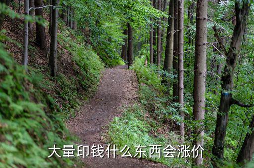 大量印錢(qián)什么東西會(huì)漲價(jià)
