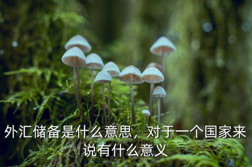 外匯儲備是什么意思，對于一個(gè)國家來說有什么意義