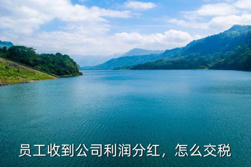 員工收到公司利潤分紅，怎么交稅