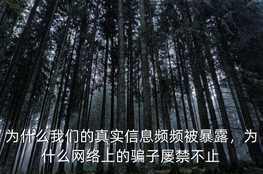 為什么我們的真實(shí)信息頻頻被暴露，為什么網(wǎng)絡(luò)上的騙子屢禁不止