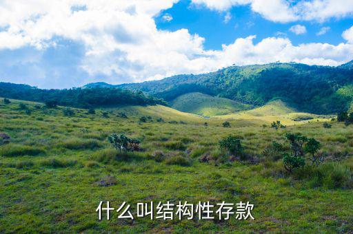 什么是結(jié)構(gòu)性負(fù)債,結(jié)構(gòu)性存款到底是怎么回事