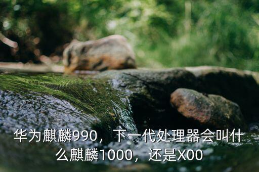華為麒麟990，下一代處理器會叫什么麒麟1000，還是X00