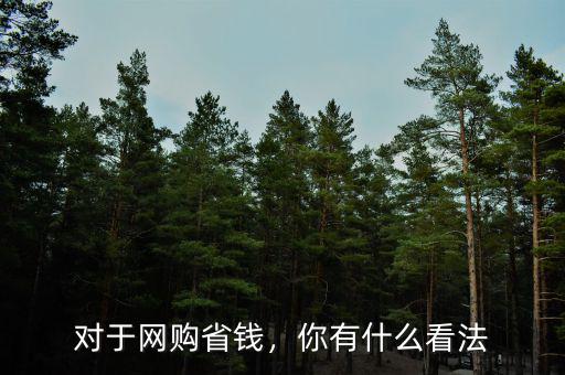 對于網(wǎng)購省錢，你有什么看法