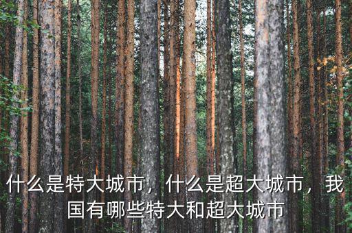 什么是特大城市，什么是超大城市，我國有哪些特大和超大城市