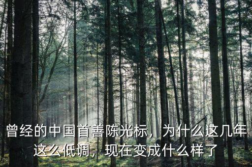 曾經的中國首善陳光標，為什么這幾年這么低調，現(xiàn)在變成什么樣了