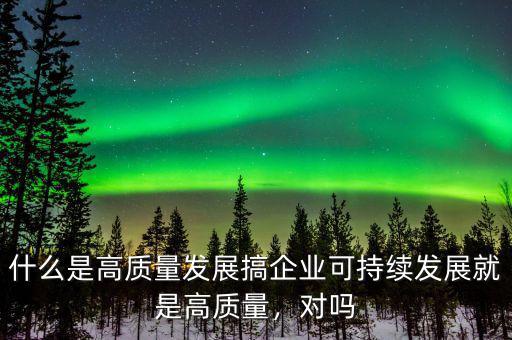什么是高質(zhì)量發(fā)展搞企業(yè)可持續(xù)發(fā)展就是高質(zhì)量，對(duì)嗎