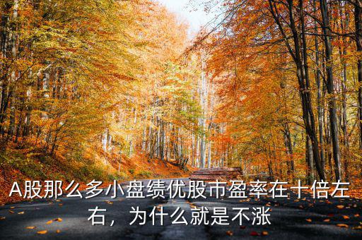 A股那么多小盤績(jī)優(yōu)股市盈率在十倍左右，為什么就是不漲