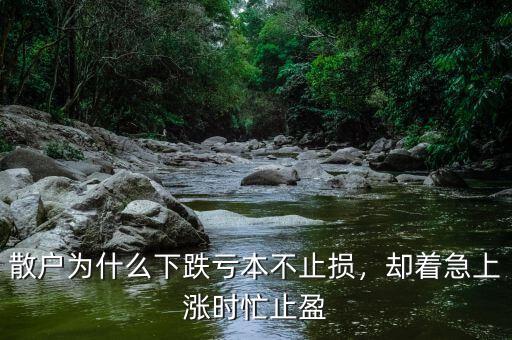散戶為什么下跌虧本不止損，卻著急上漲時忙止盈