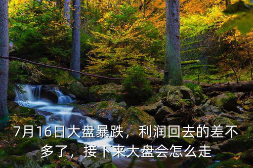 7月16日大盤暴跌，利潤(rùn)回去的差不多了，接下來(lái)大盤會(huì)怎么走