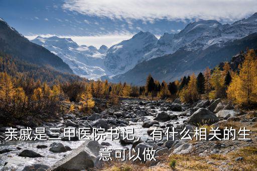 親戚是三甲醫(yī)院書記，有什么相關(guān)的生意可以做