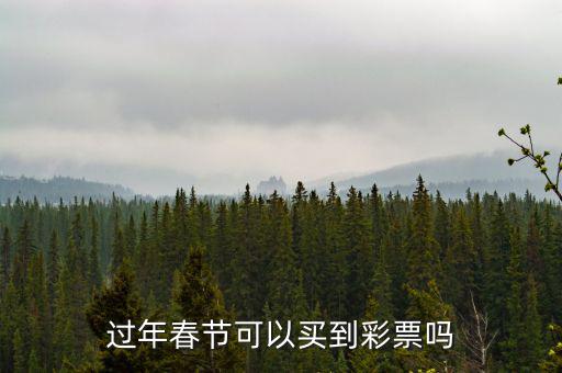 彩票網(wǎng)點(diǎn)過(guò)年怎么安排的,過(guò)年春節(jié)可以買(mǎi)到彩票嗎