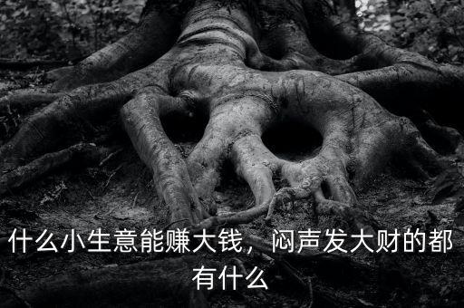 什么小生意能賺大錢，悶聲發(fā)大財(cái)?shù)亩加惺裁? class=