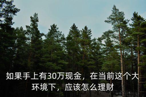 如果手上有30萬現(xiàn)金，在當前這個大環(huán)境下，應(yīng)該怎么理財
