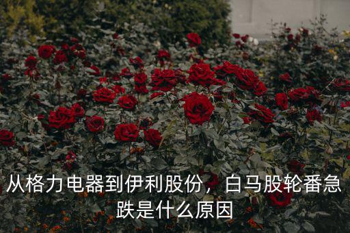 從格力電器到伊利股份，白馬股輪番急跌是什么原因